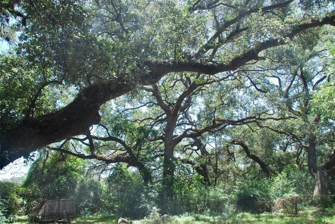 Photo of 29 County Road 77b