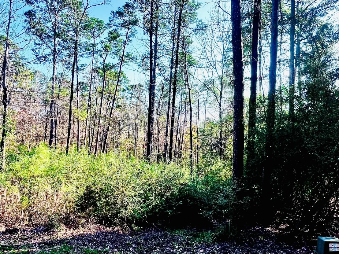 Photo of 23 Wentworth Ln