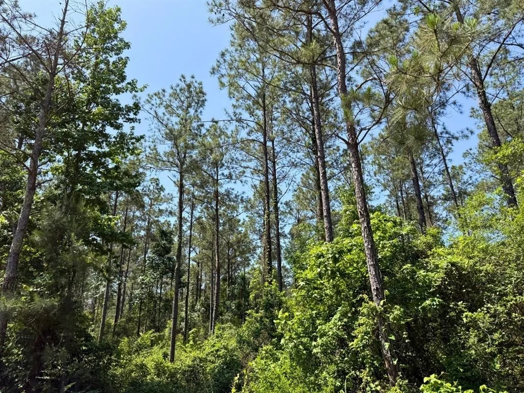 Photo of 1 Camp Ruby Road