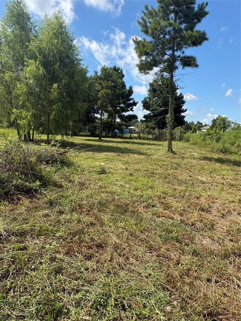 Photo of 1488 County Road 3540