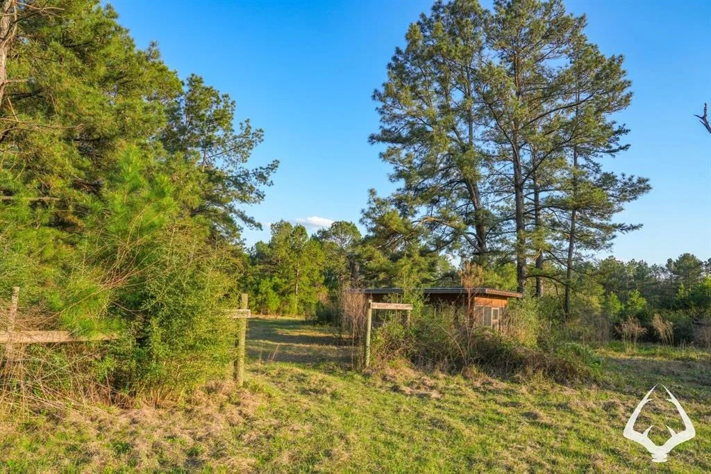 Photo of 850 County Road 4390