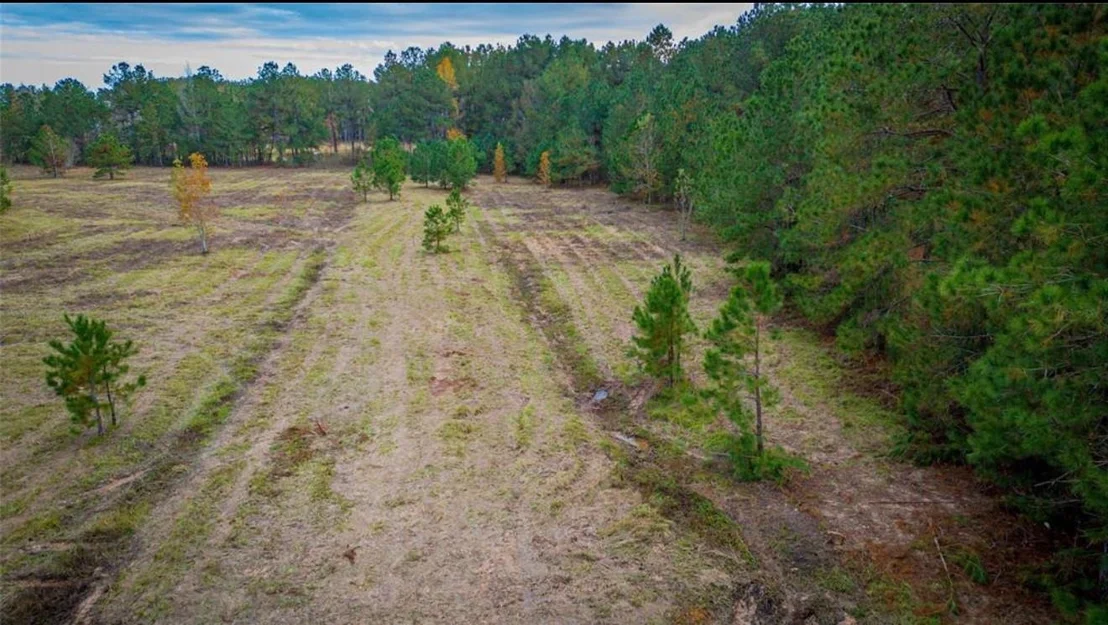 Photo of TBD Tract 11 County Road 3011