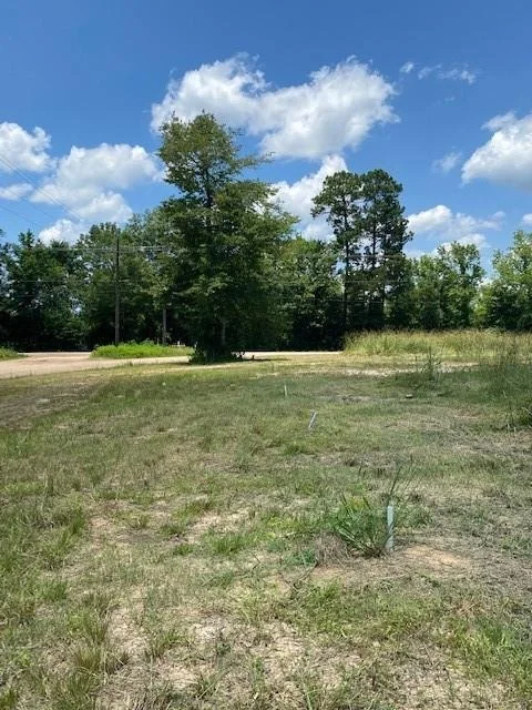 Photo of 545 County Road 388