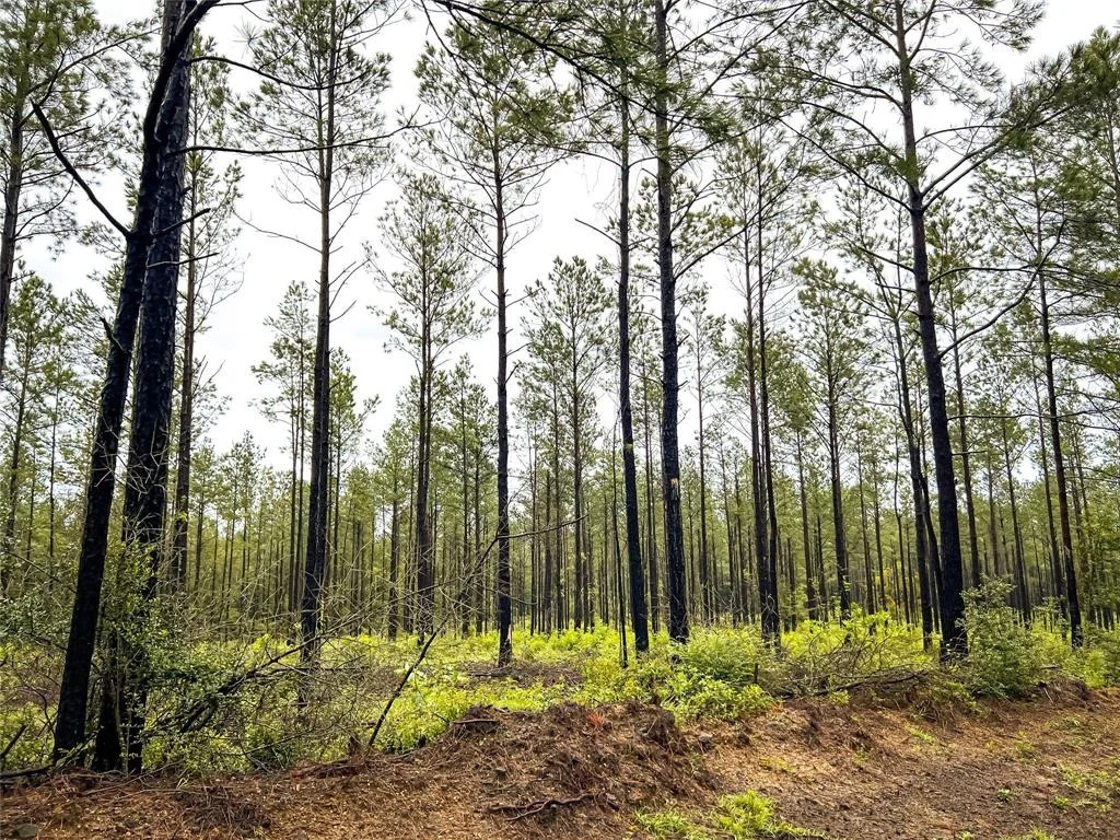 Photo of 02 Cr 258