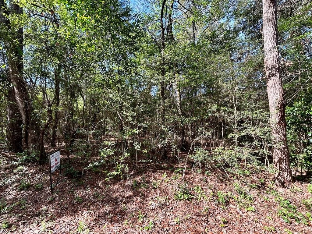 Photo of TBD Copperhead Road