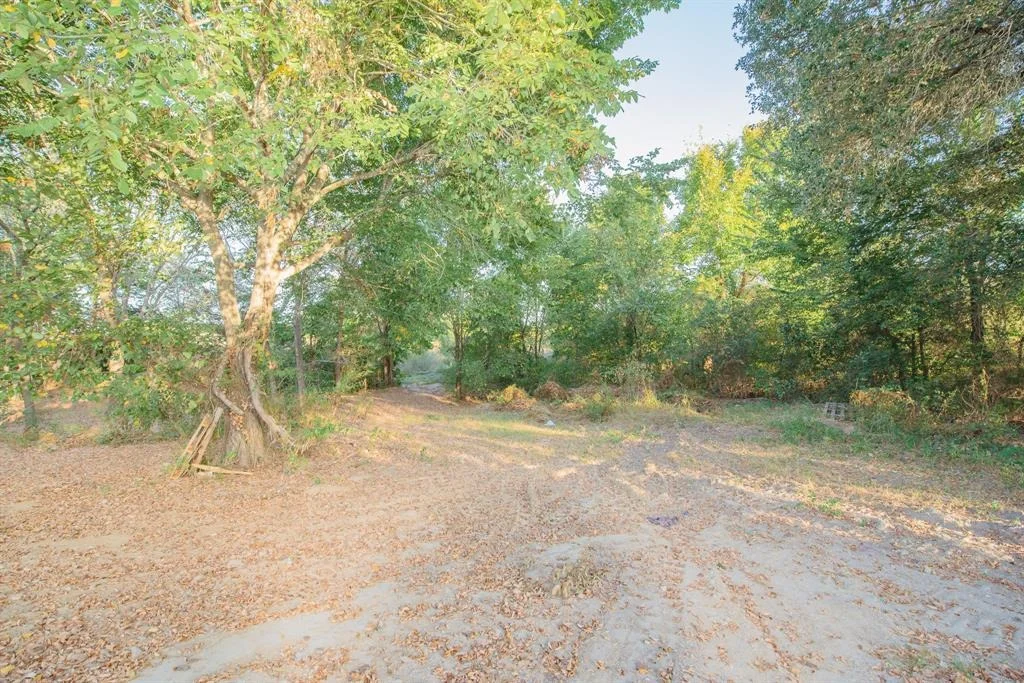 Photo of 488 Texas 543-Loop