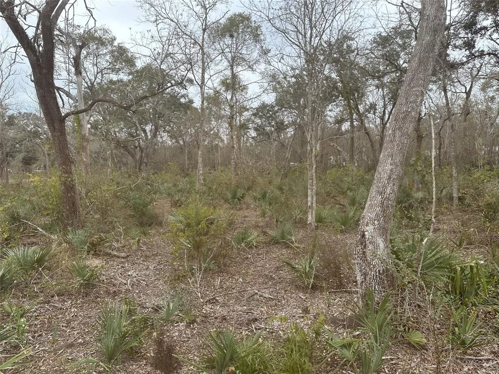 Photo of 16532 County Road 729