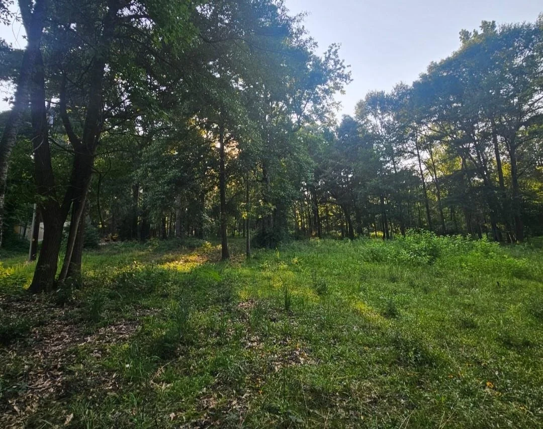 Photo of 16196 Cedar Lane Loop