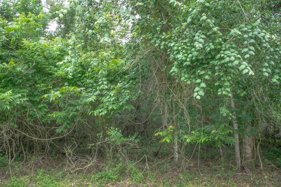 Photo of 1015 W Point Drive