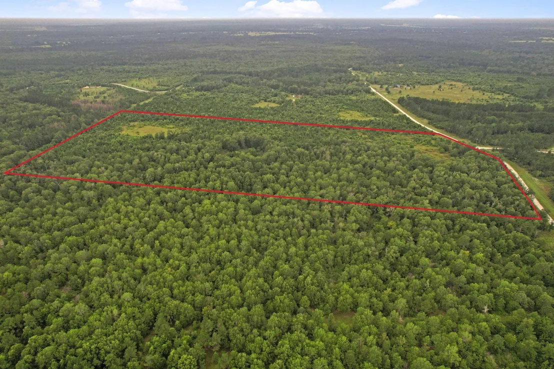 Photo of Tract 35 Fm 230