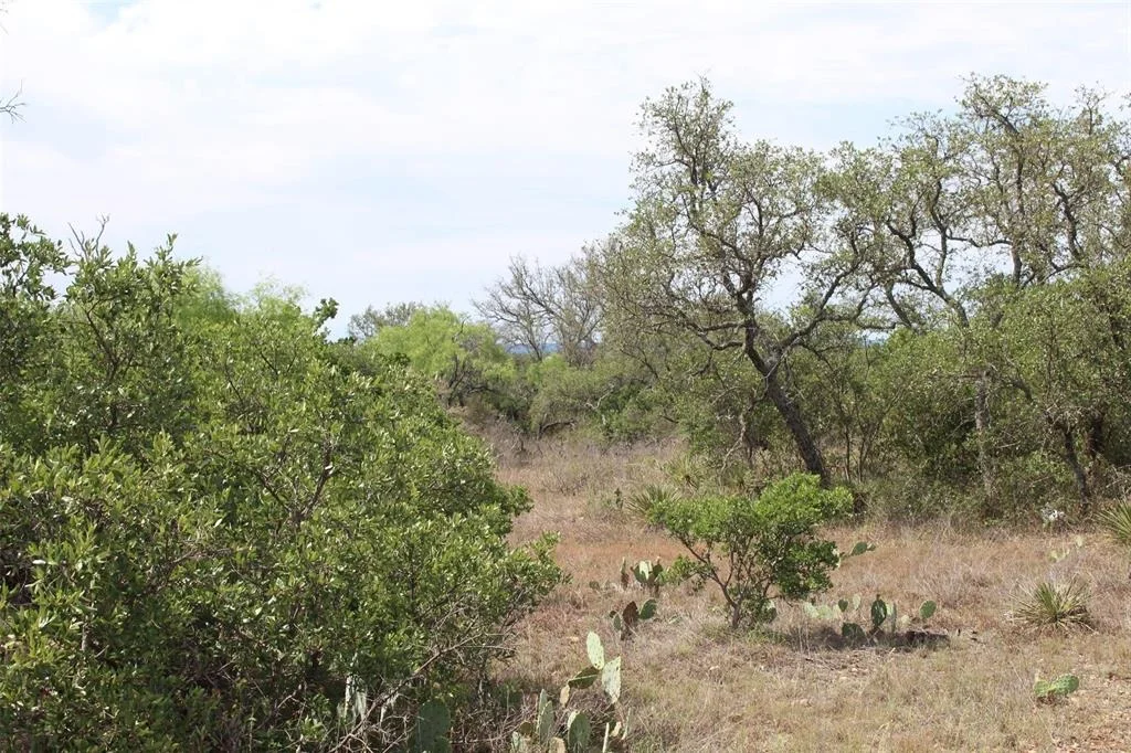 Photo of 000 Tx-29 Highway