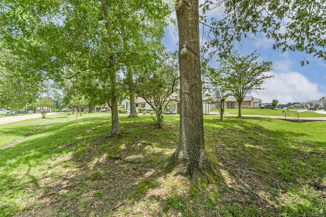 Photo of 2022 Silver Moon Trail