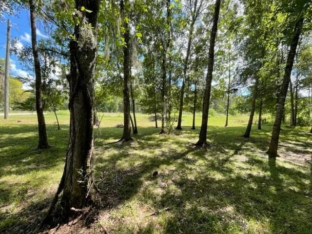 Photo of 201 Cypress Lakes Circle Circle
