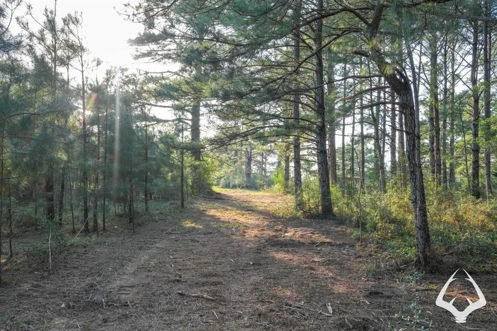 Photo of 850 County Road 4390