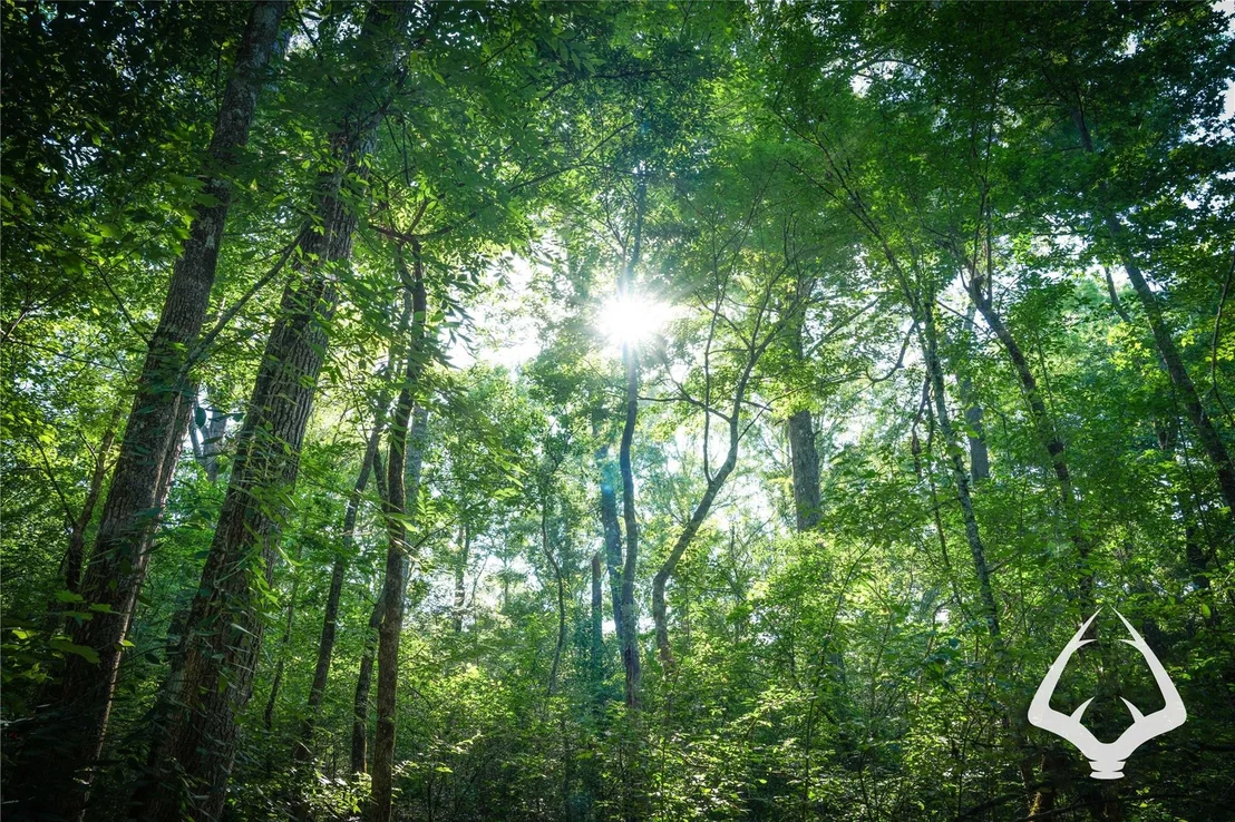 Photo of 00 Hwy 69