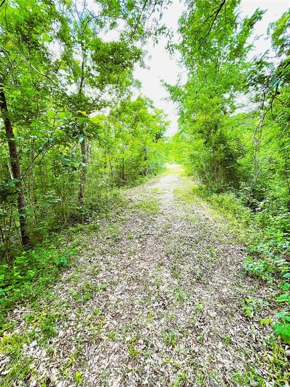 Photo of 5135 County Road 288