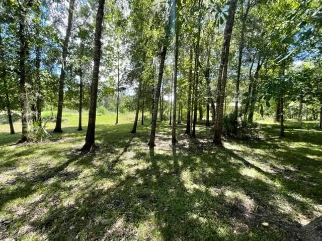 Photo of 201 Cypress Lakes Circle Circle