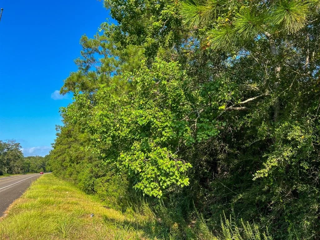 Photo of 2 Fm 2802