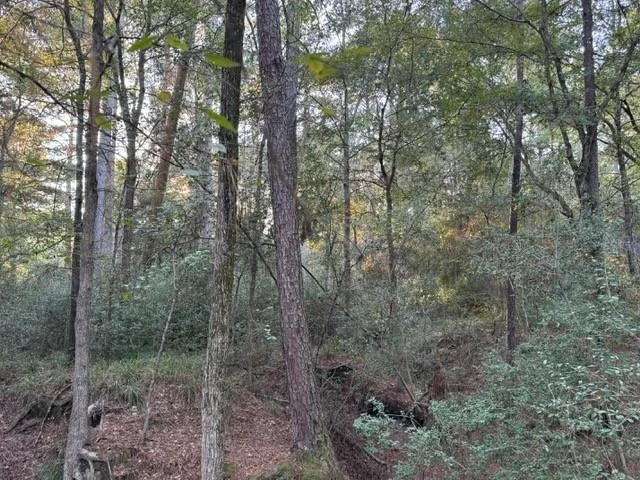 Photo of 70 Quail Trail