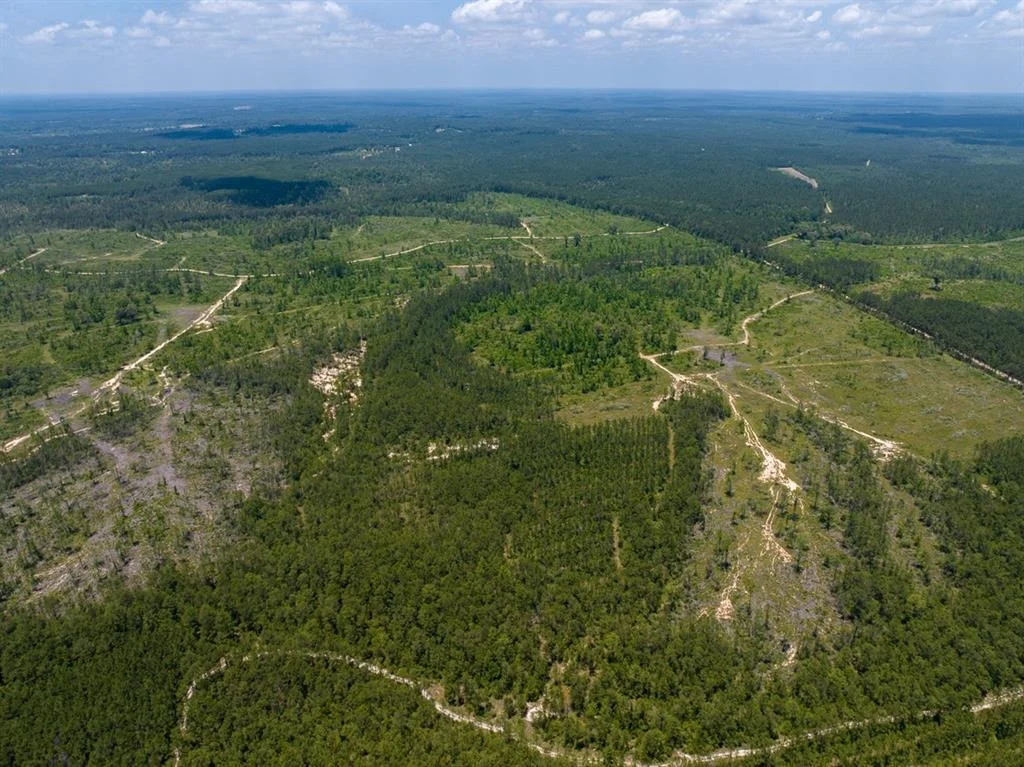 Photo of TBD Fm 355