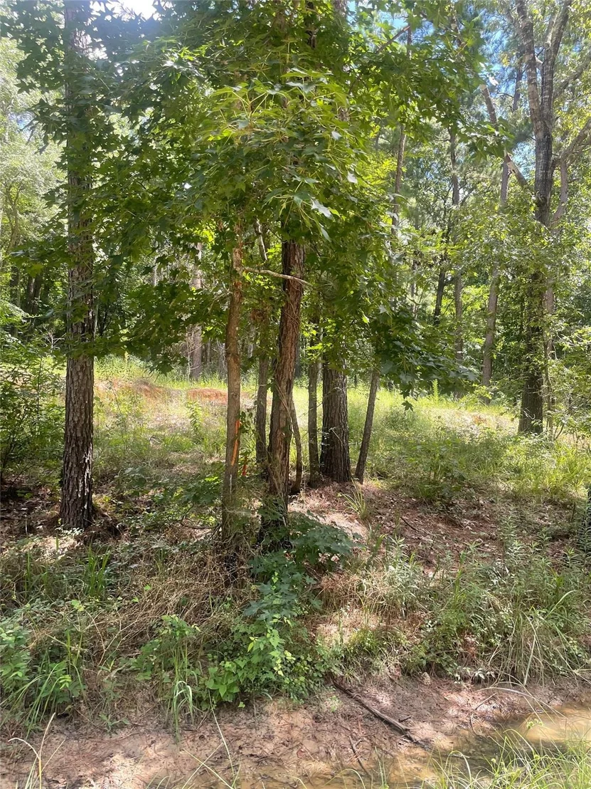 Photo of 70 Tall Timbers Trail