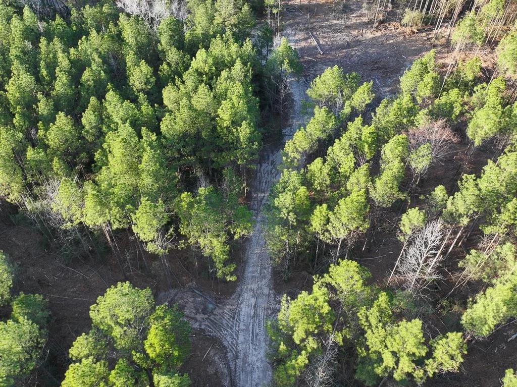 Photo of TBD Off Fm 355