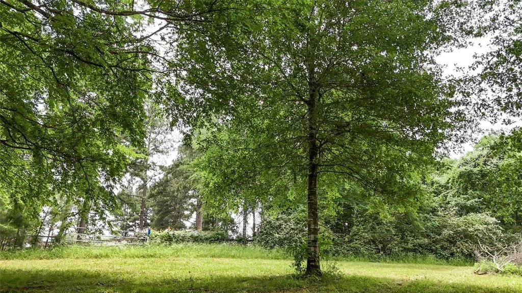 Photo of 2700 Spring Branch Road