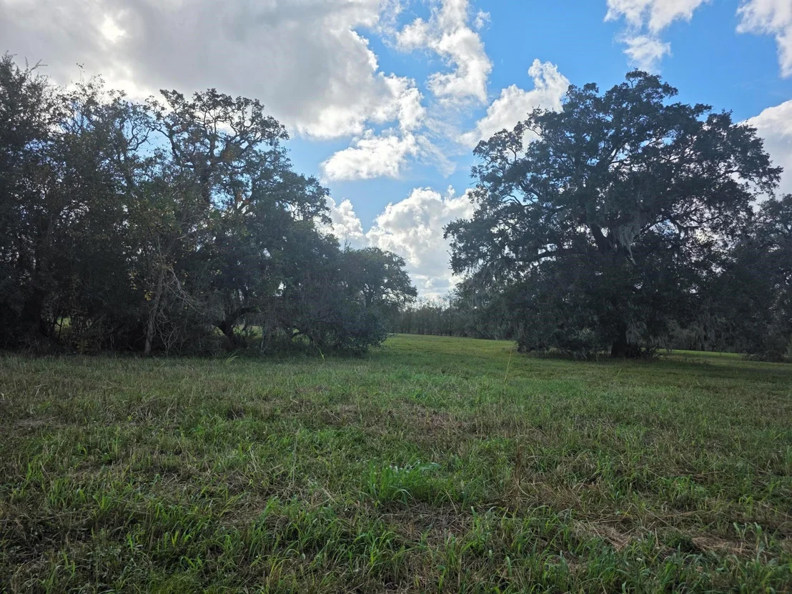 Photo of 340 Pony Trail
