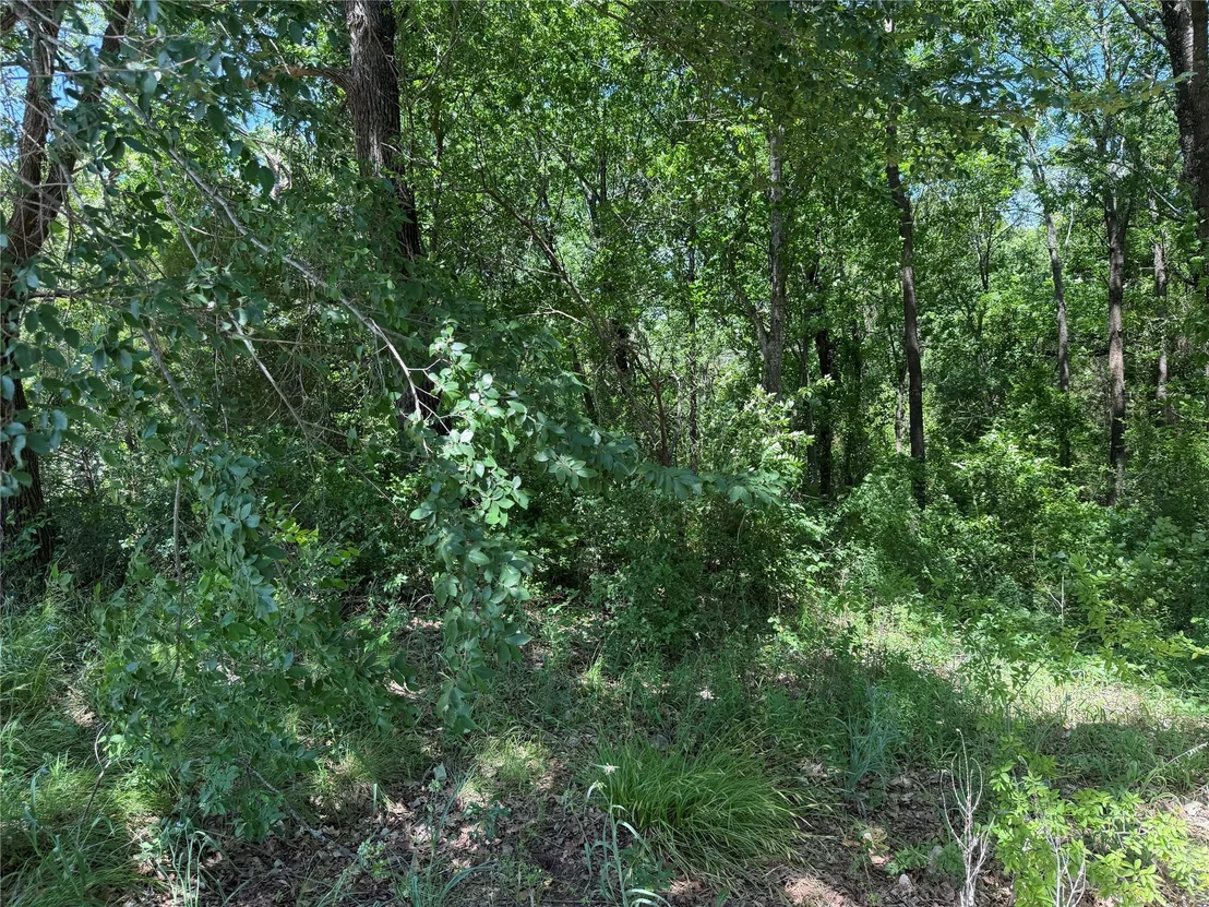 Photo of 1341 & 1343 Waikiki Trail