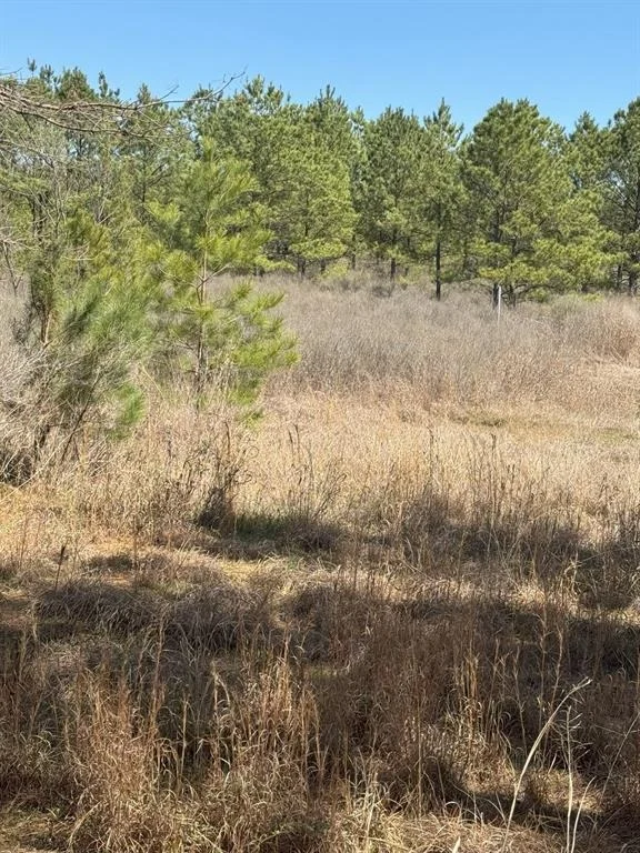 Photo of TBD Boards Ferry Rd