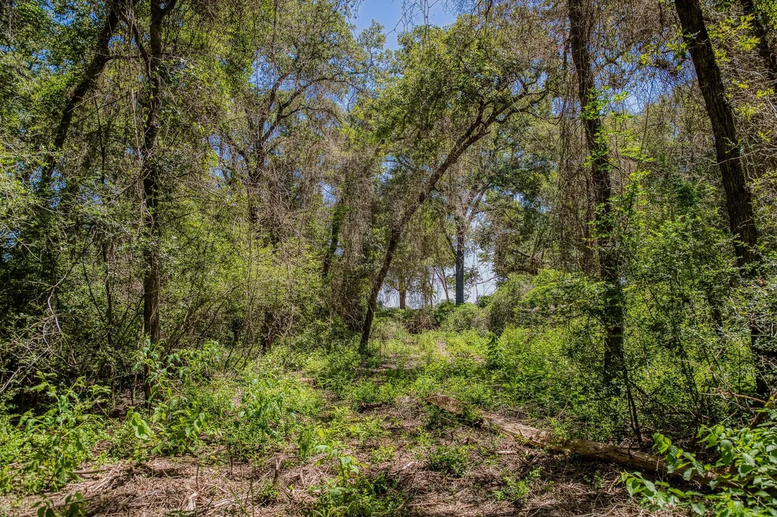 Photo of 1972 County Road 324
