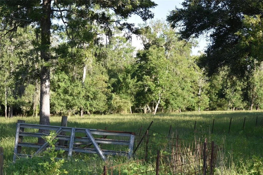 Photo of 5300 U-Pond Drive/County Road 611