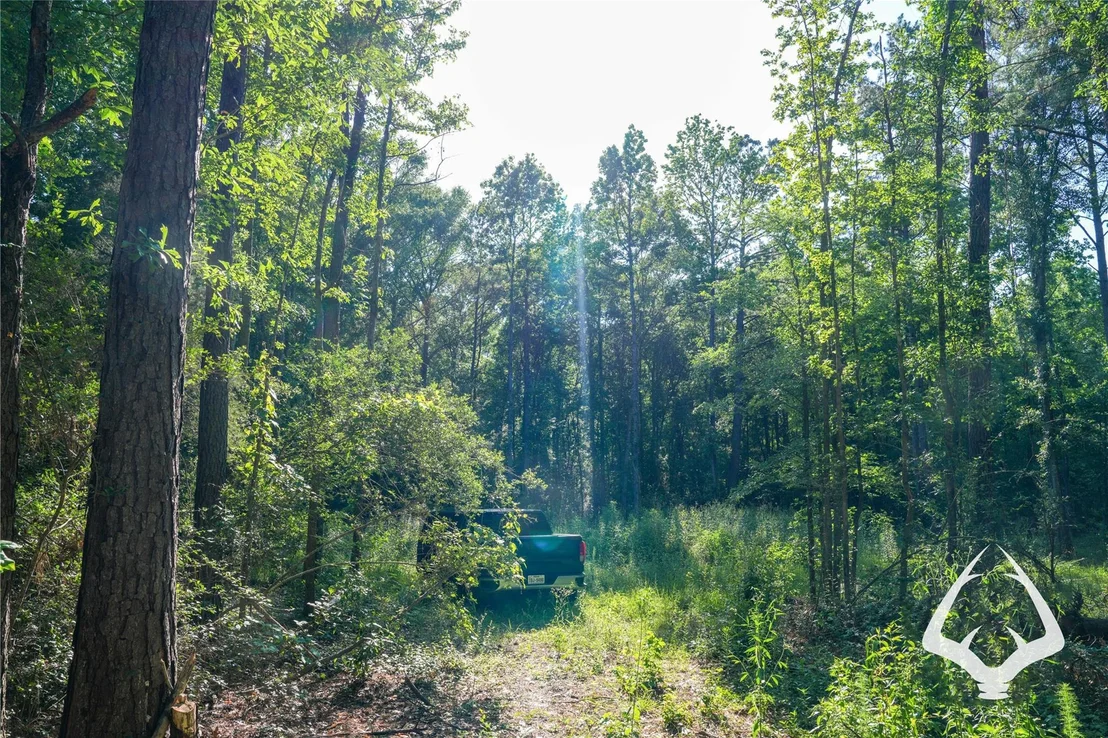 Photo of 00 Hwy 69