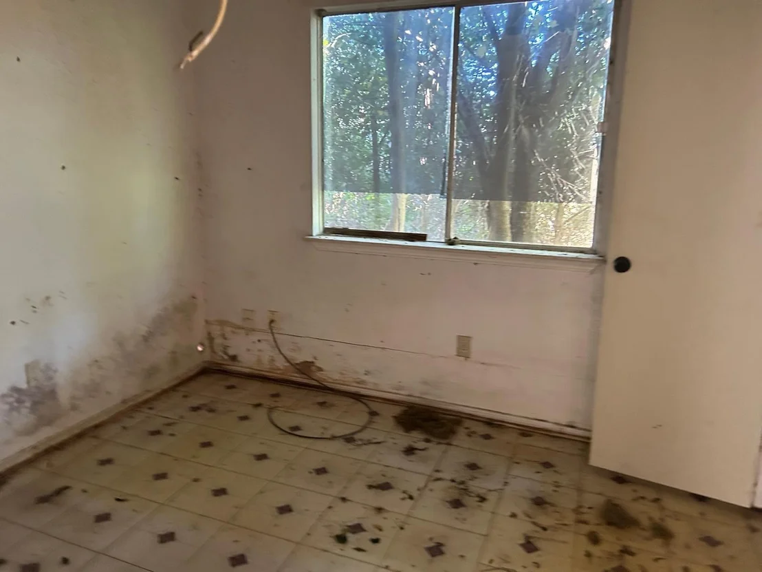 Photo of 3838 Buckhurst Drive
