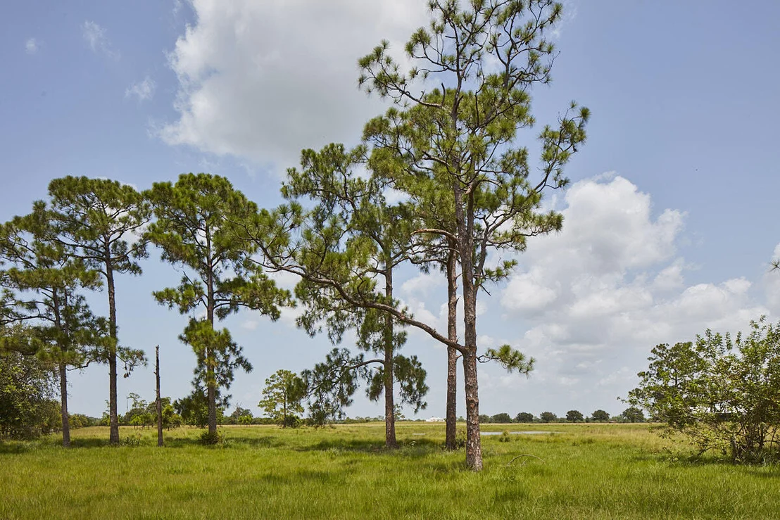 Photo of 25700 SW Brians Trail