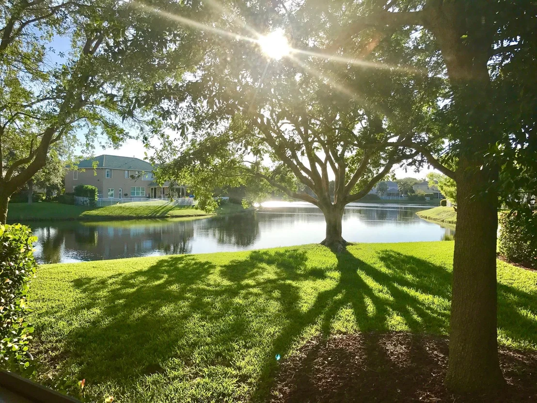 Photo of 258 Starling Lane S