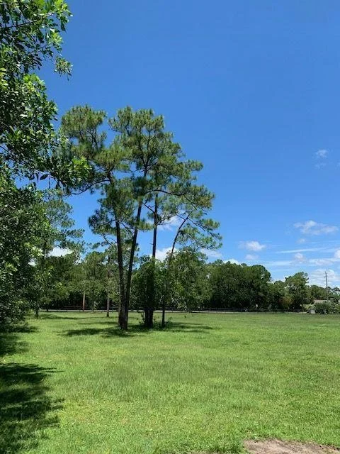 Photo of 12498 Sandy Run