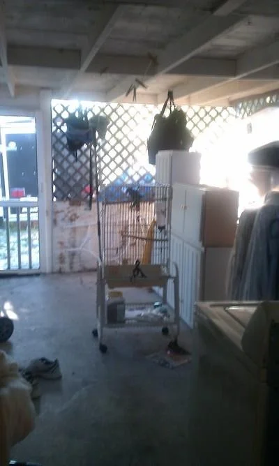 Photo of 1177 Sunset Road