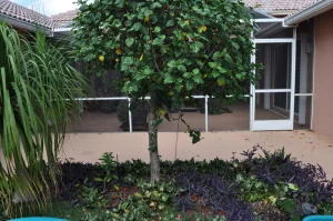 Photo of 303 Hardwood Point