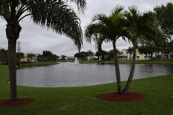 Photo of 7634 Colony Palm Drive
