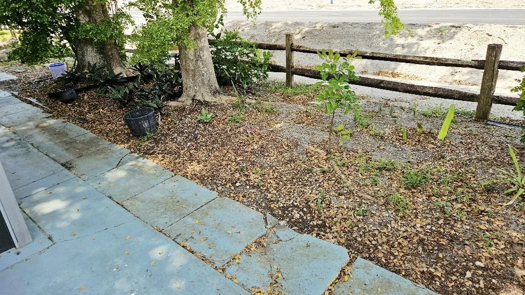 Photo of 7384 Pine Park Drive
