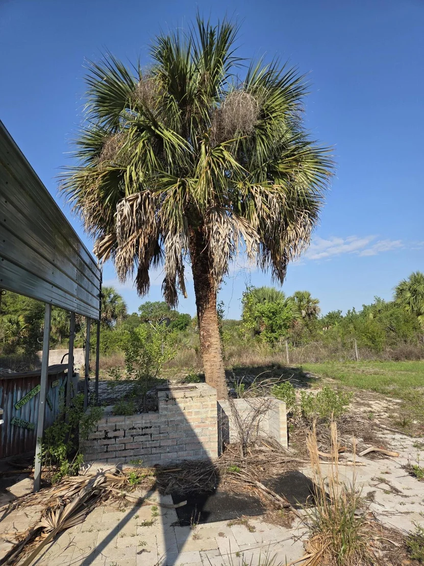 Photo of 19833 NW 280th Street
