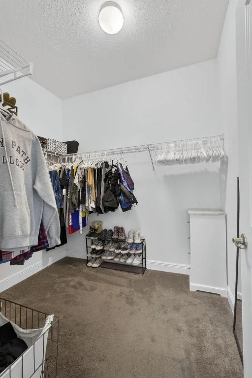 Photo of 945 Wandering Willow Way