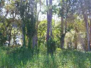 Photo of 342 Southwood Trail
