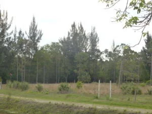 Photo of 17770 112th Drive N