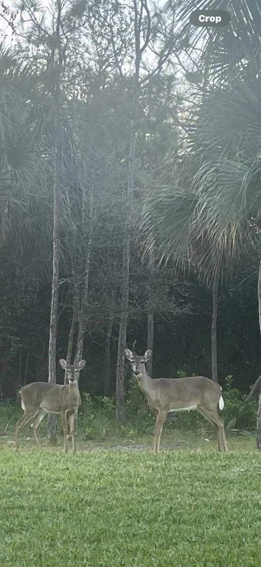 Photo of 2536 Sandy Cay