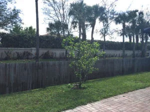 Photo of 8418 Dynasty Drive