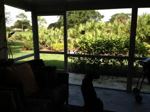 Photo of 4147 Palm Forest Drive N