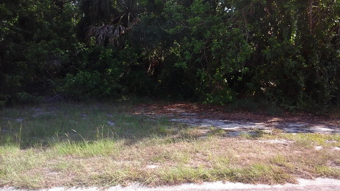Photo of 156 Kildare Drive