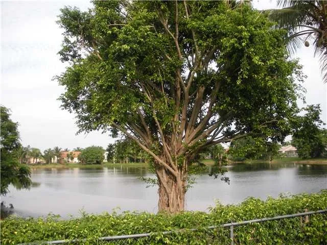 Photo of 5739 E Ithaca Circle